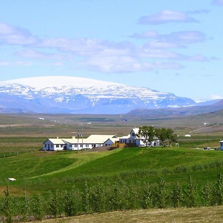 Guesthouse Steindorsstadir, West Iceland Рейкхольт Экстерьер фото