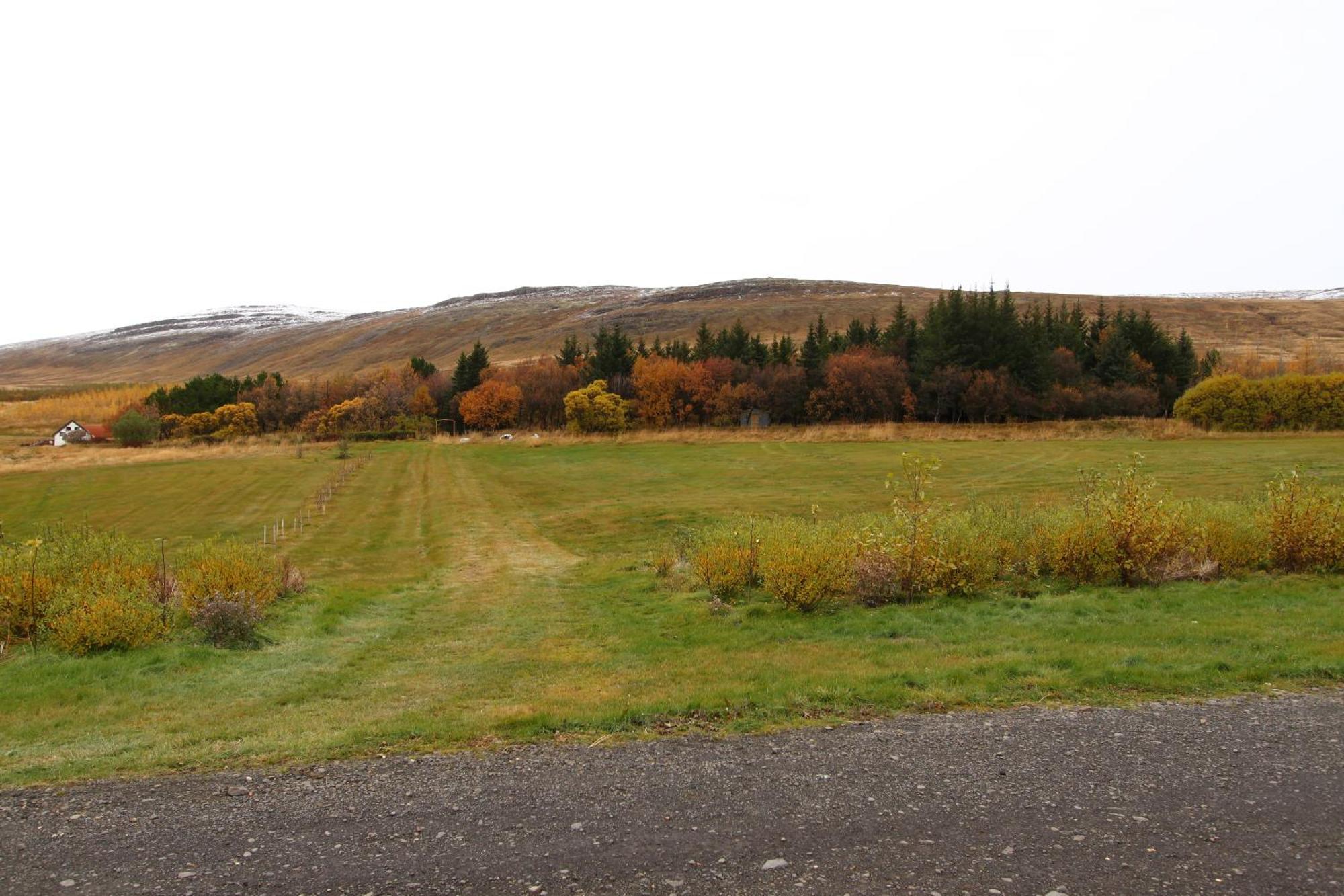 Guesthouse Steindorsstadir, West Iceland Рейкхольт Экстерьер фото