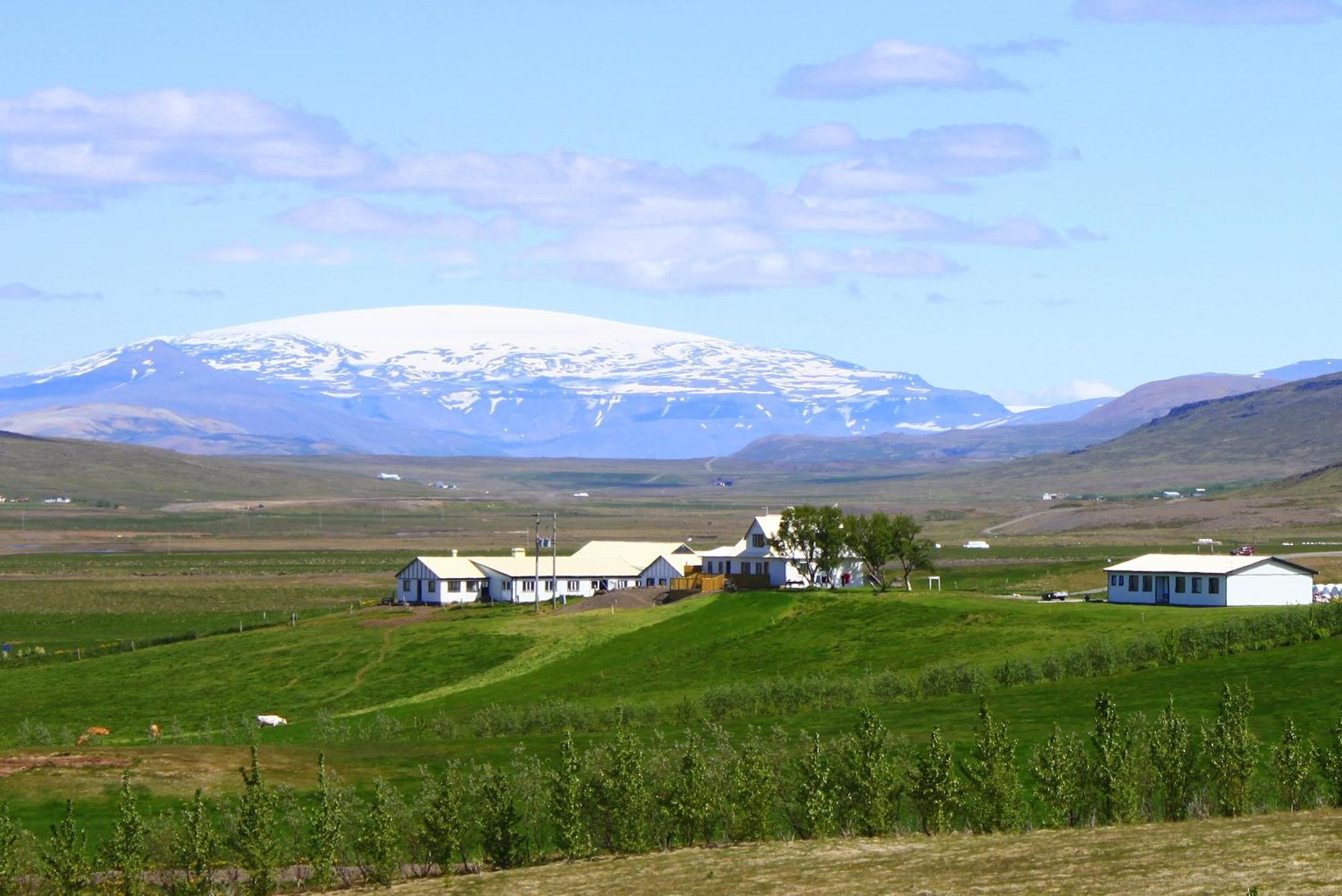Guesthouse Steindorsstadir, West Iceland Рейкхольт Экстерьер фото